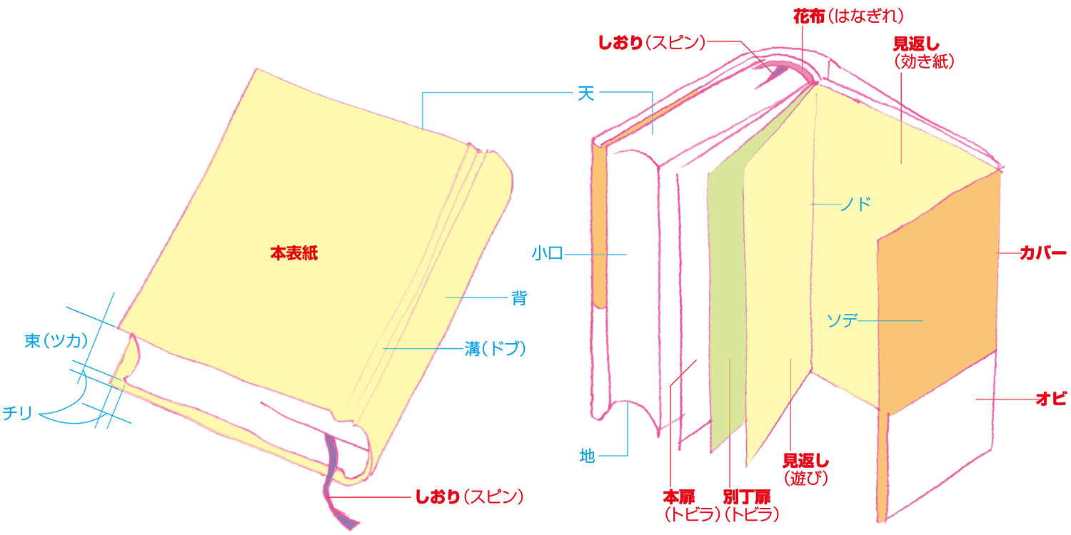 本の部位の名称